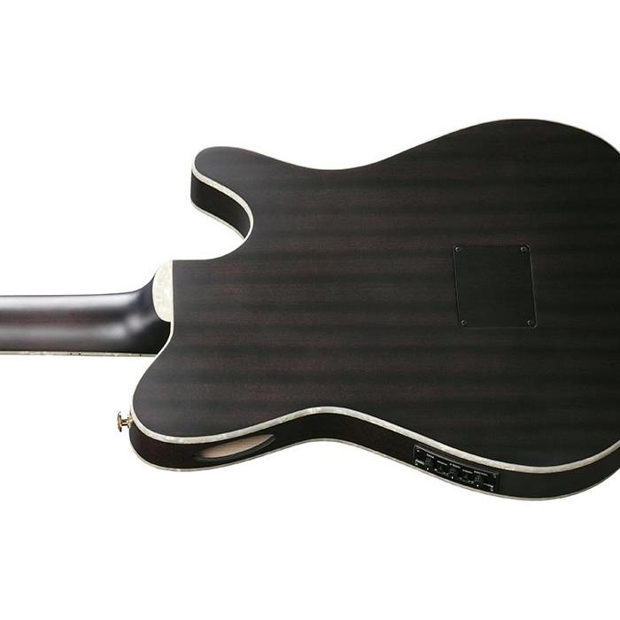 Ibanez（アイバニーズ） TOD10NL TKF エレガットギター 左利き用