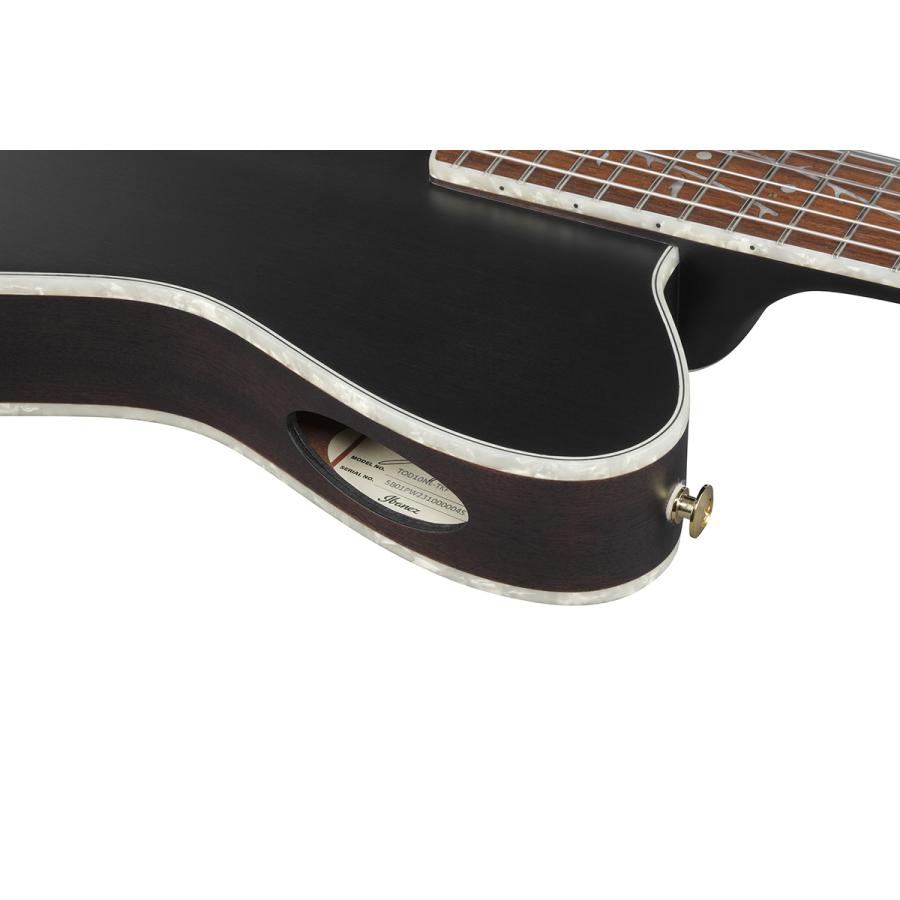 Ibanez（アイバニーズ） TOD10NL TKF エレガットギター 左利き用