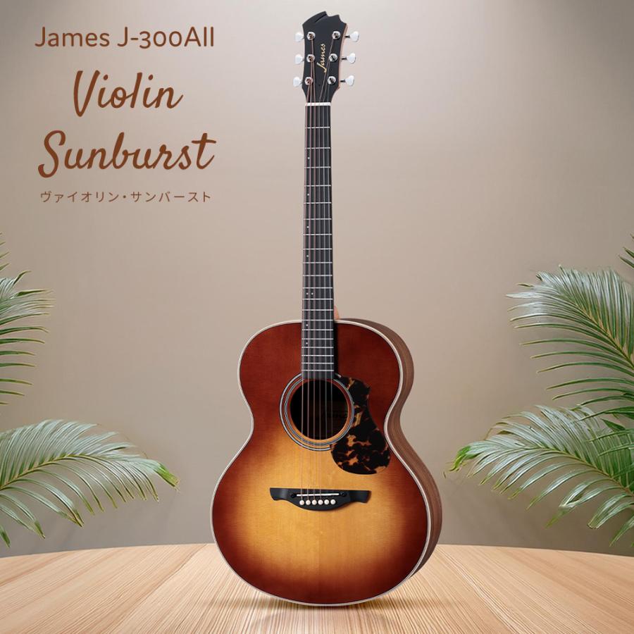 ジェームス James J-300AII アコースティックギター トップ単板 ジェームス James J-300AII アコースティックギター トップ単板