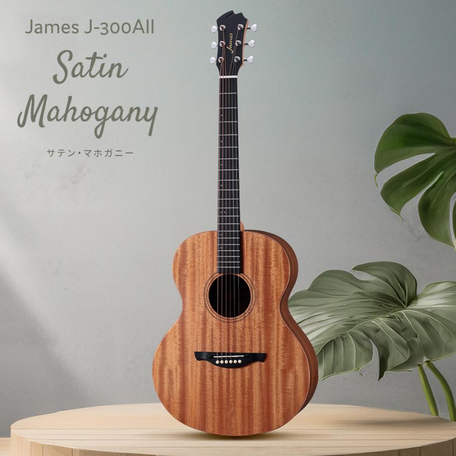 ジェームス James J-300AII アコースティックギター トップ単板 ジェームス James J-300AII アコースティックギター トップ単板