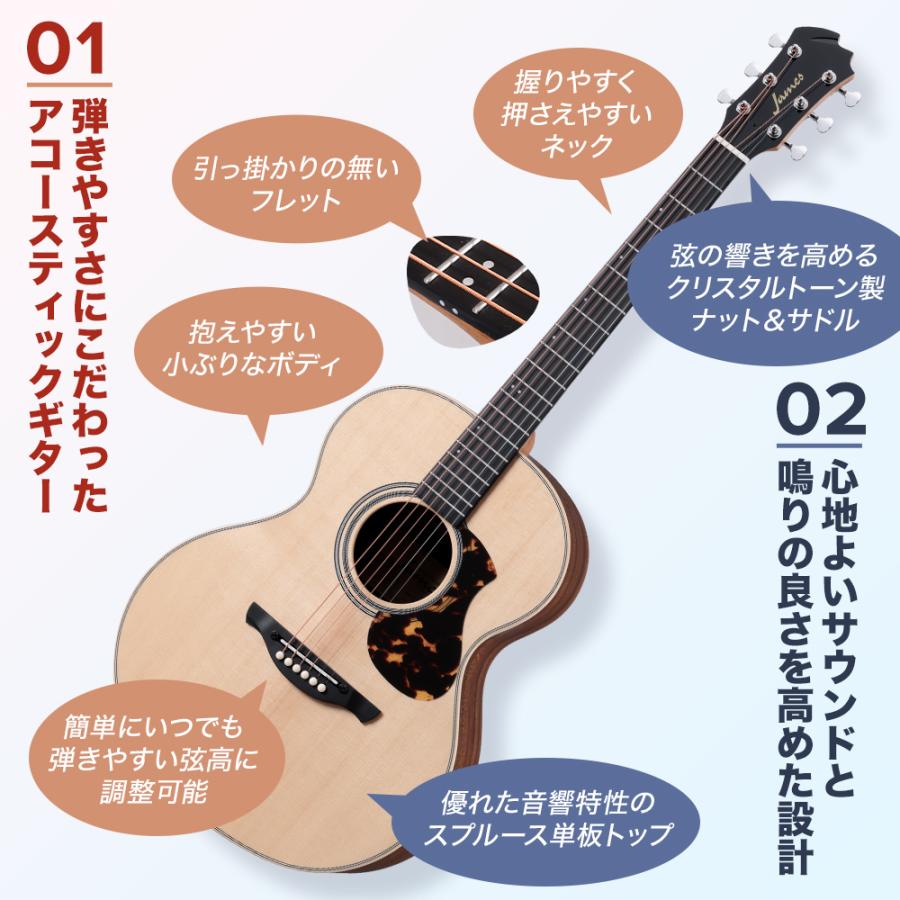 James J-300D TSB アコースティックギター James J-300D Black アコースティックギター ドレッドノートタイプ