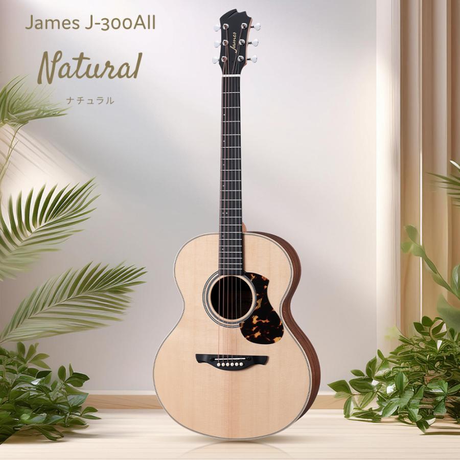 ジェームス（James） J-300AII アコースティックギター初心者12点