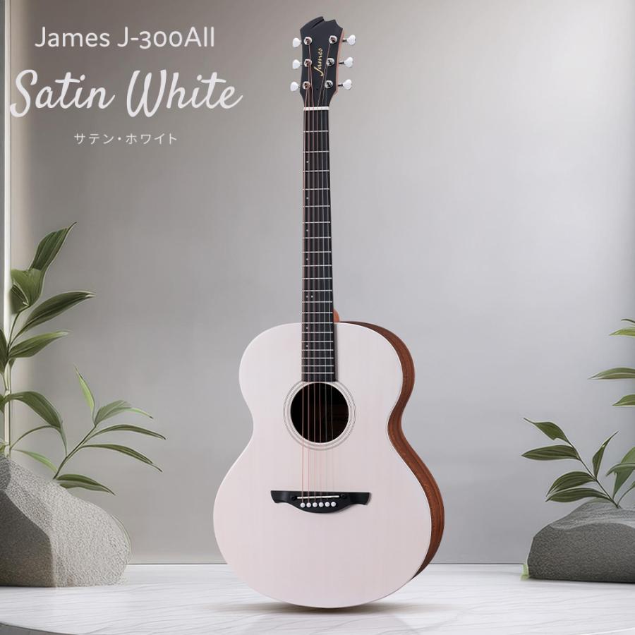 ジェームス（James） J-300AII アコースティックギター初心者12点