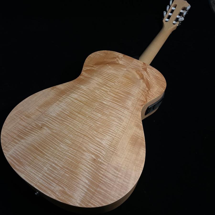 Taylor テイラー LTD EG Academy 12e-N エレガットギター 島村楽器 