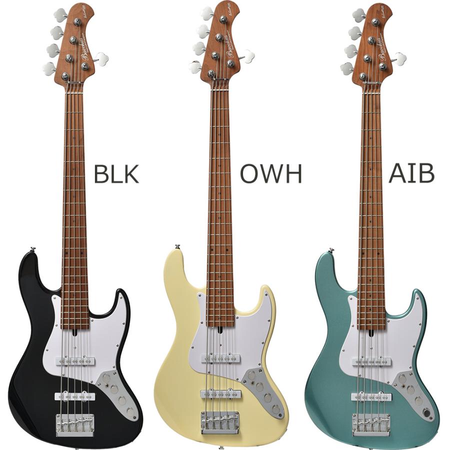 Bacchus（バッカス） WL5-STD33-AC RSM/M 5弦ベース初心者12点セット