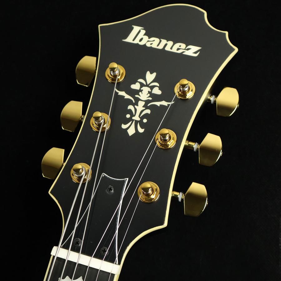 【生産完了】 Ibanez アイバニーズ PM3C Black Low Gloss　S/N：PW24070553 フルアコPat Metheny 未展示品_3