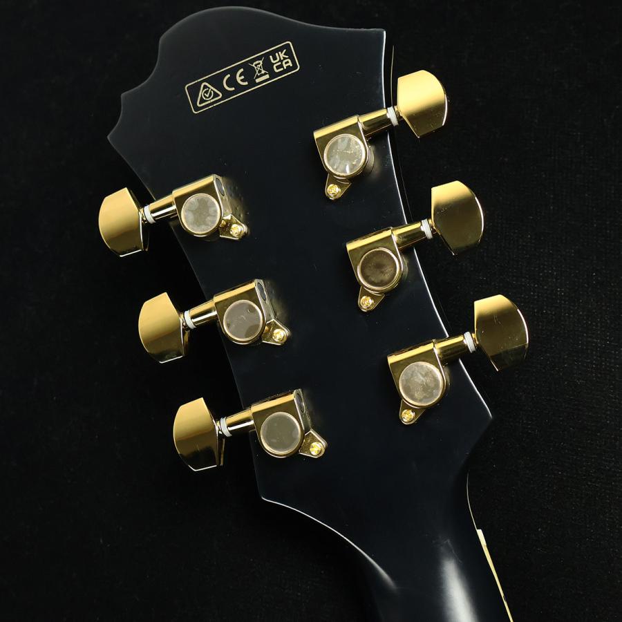 【生産完了】 Ibanez アイバニーズ PM3C Black Low Gloss　S/N：PW24070553 フルアコPat Metheny 未展示品_6