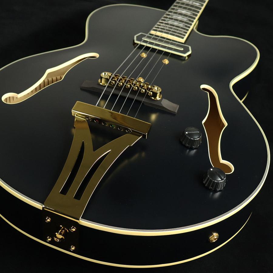 【生産完了】 Ibanez アイバニーズ PM3C Black Low Gloss　S/N：PW24070553 フルアコPat Metheny 未展示品_7
