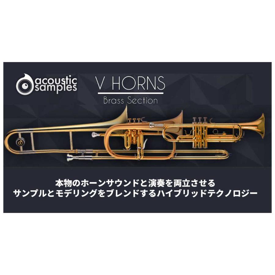 430（fourthirty） Acoustic Samples VHorns Brass Section ソフト音源