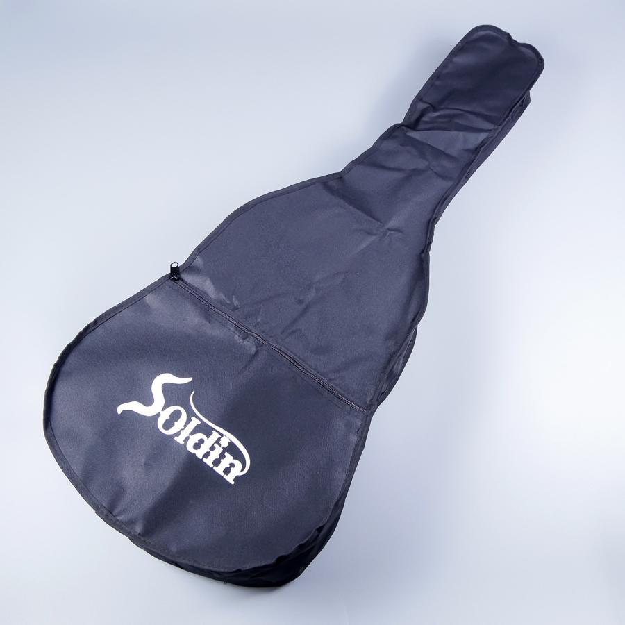 Soldin ソルディン SFG-15 II アコースティックギター 木目調ペグ