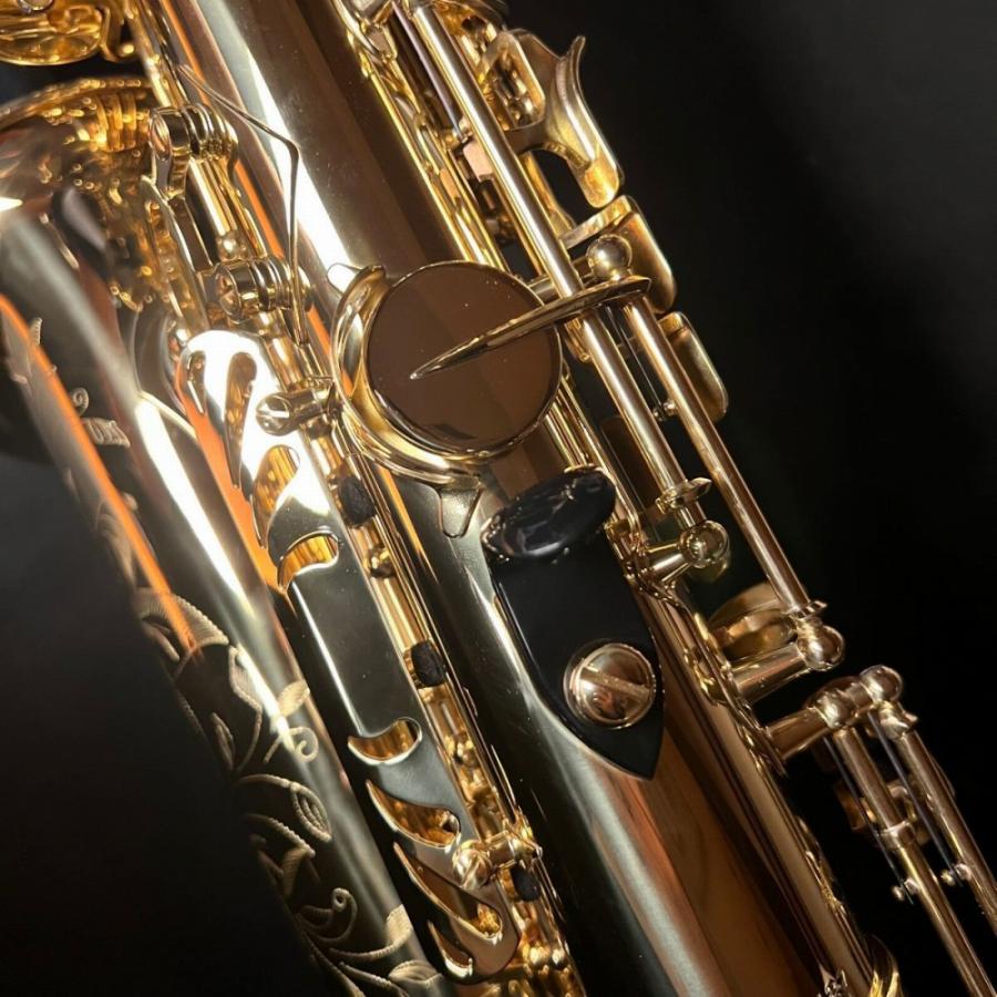 ららぽーとTOKYO-BAY店展示中】 H.Selmer セルマー Axos second