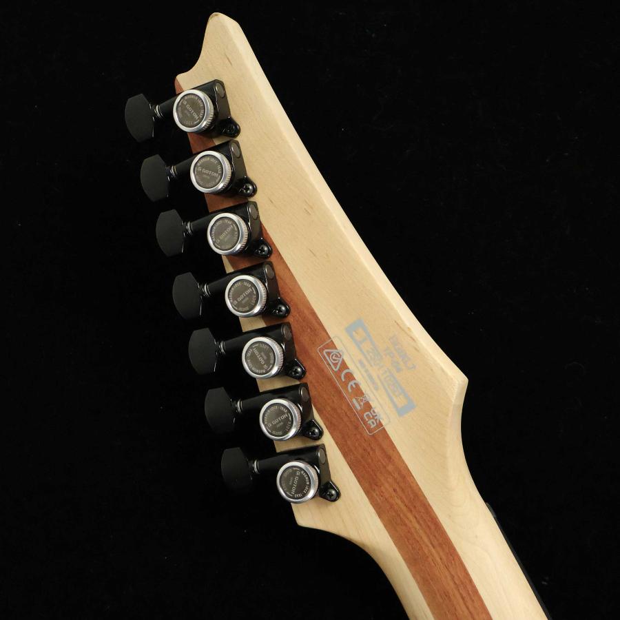 Ibanez アイバニーズ RGIXL7 Black Flat S/N：I250110291 7弦 未展示品の画像
