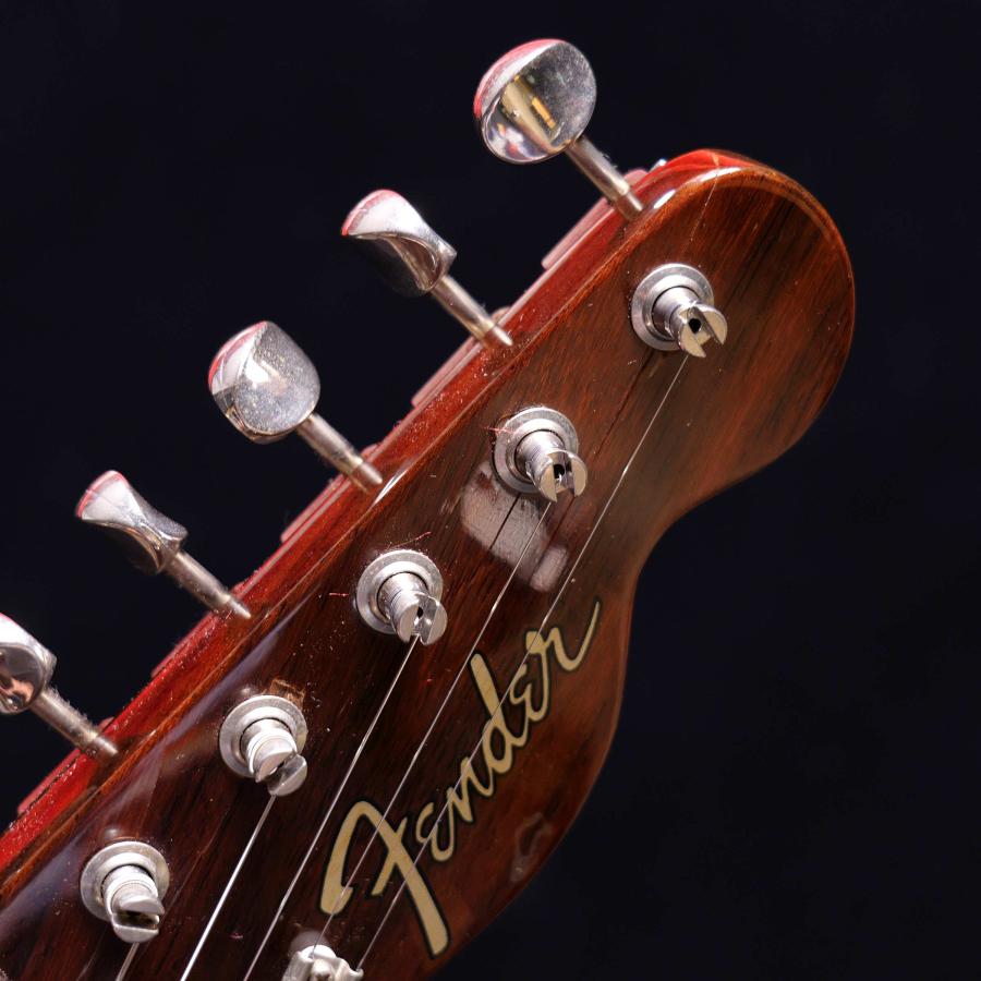 Fender（フェンダー） Custom Shop All Rosewood Telecaster by Art