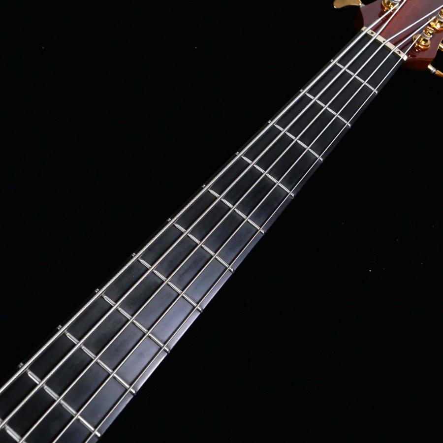 ALEMBIC アレンビック MJLB5F The Signature Standard 2010 5弦エレキ