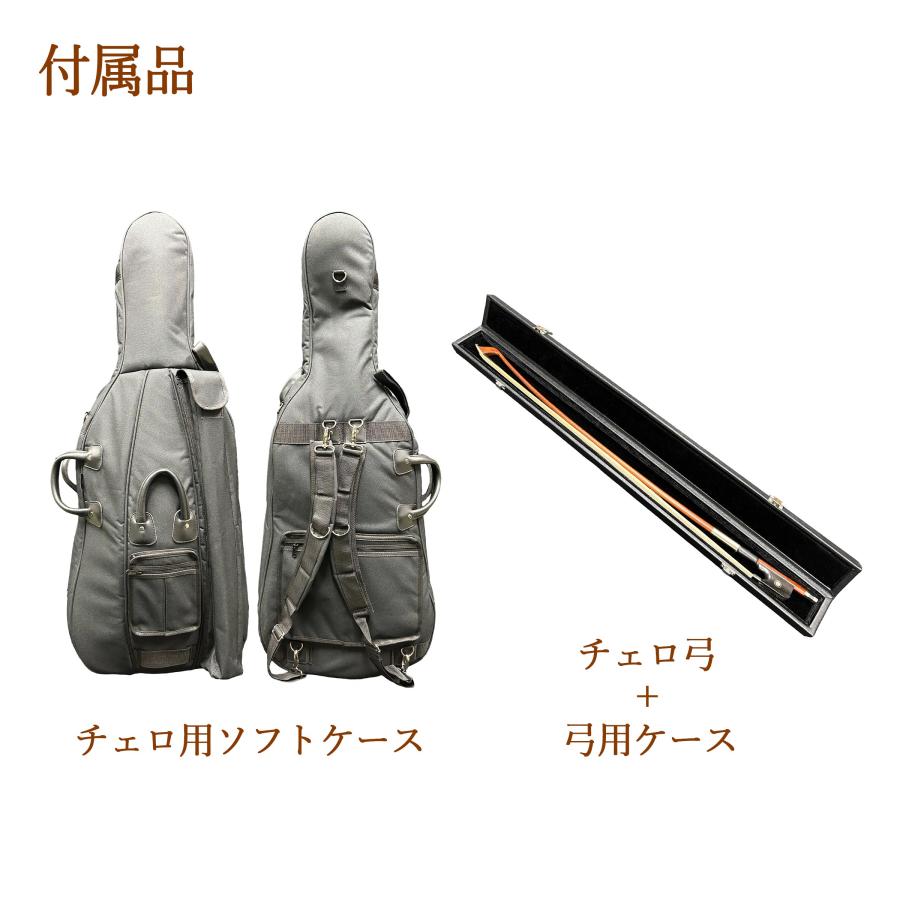 Eastman イーストマン VC100 4/4サイズ 分数チェロセット : 島村楽器
