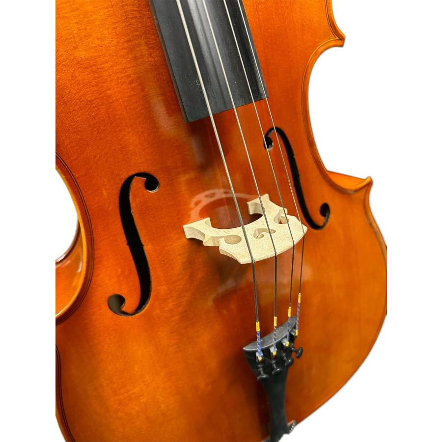 Eastman イーストマン VC100 4/4サイズ 分数チェロセット : 島村楽器