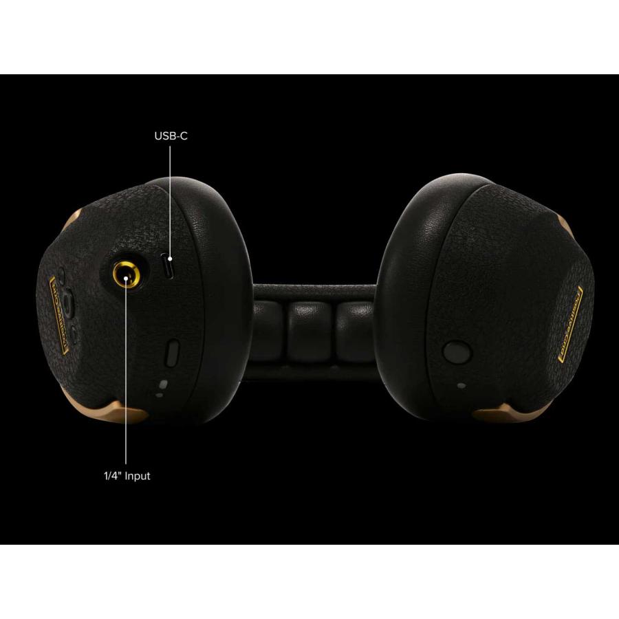 期間限定セール中！2/25まで Positive Grid ポジティブグリッド Spark