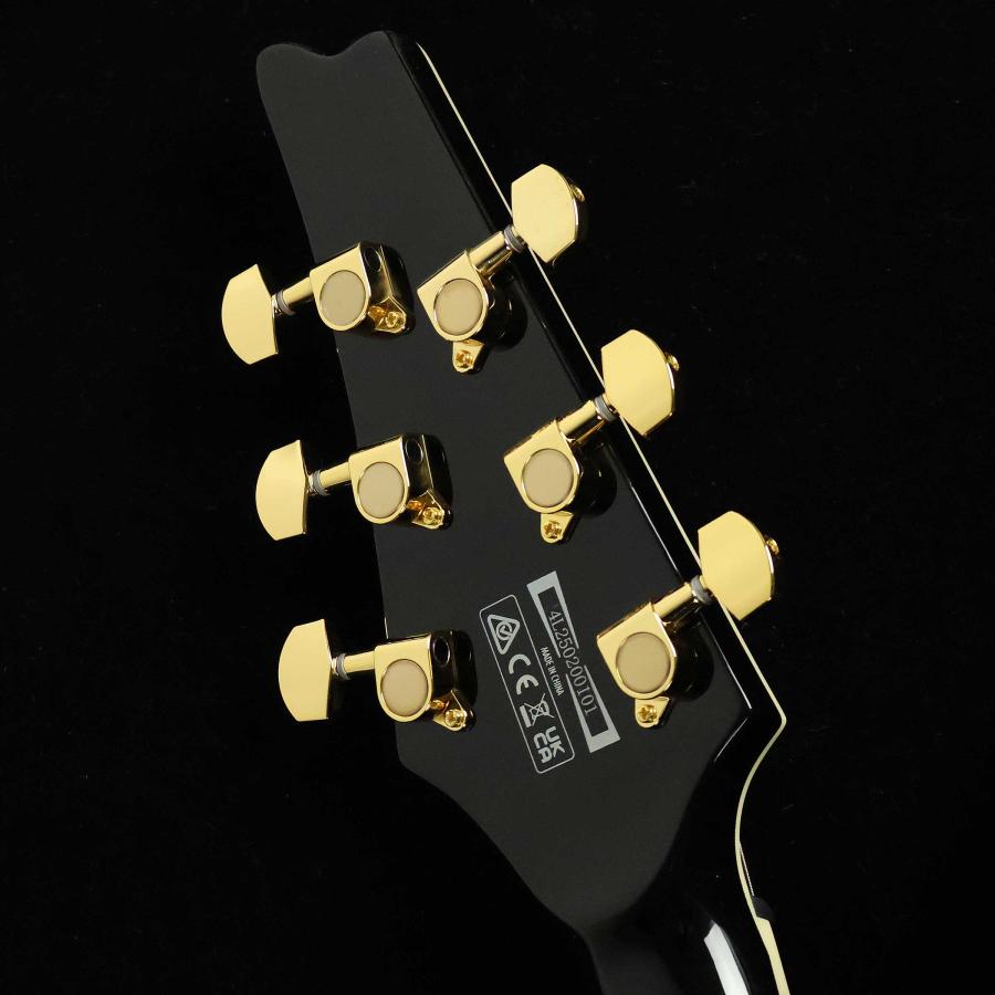 Ibanez（アイバニーズ） FRM350 S/N：4L250200101 ポール・ギルバート