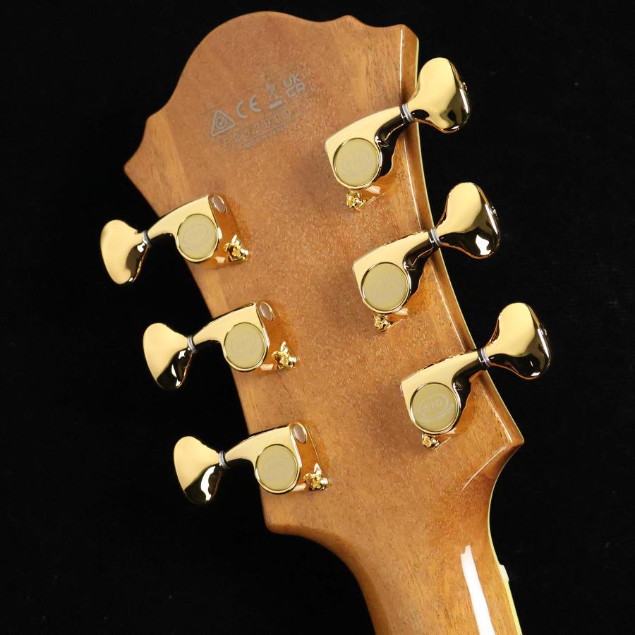 Ibanez（アイバニーズ） PM200 S/N：F2529091 フルアコ パット