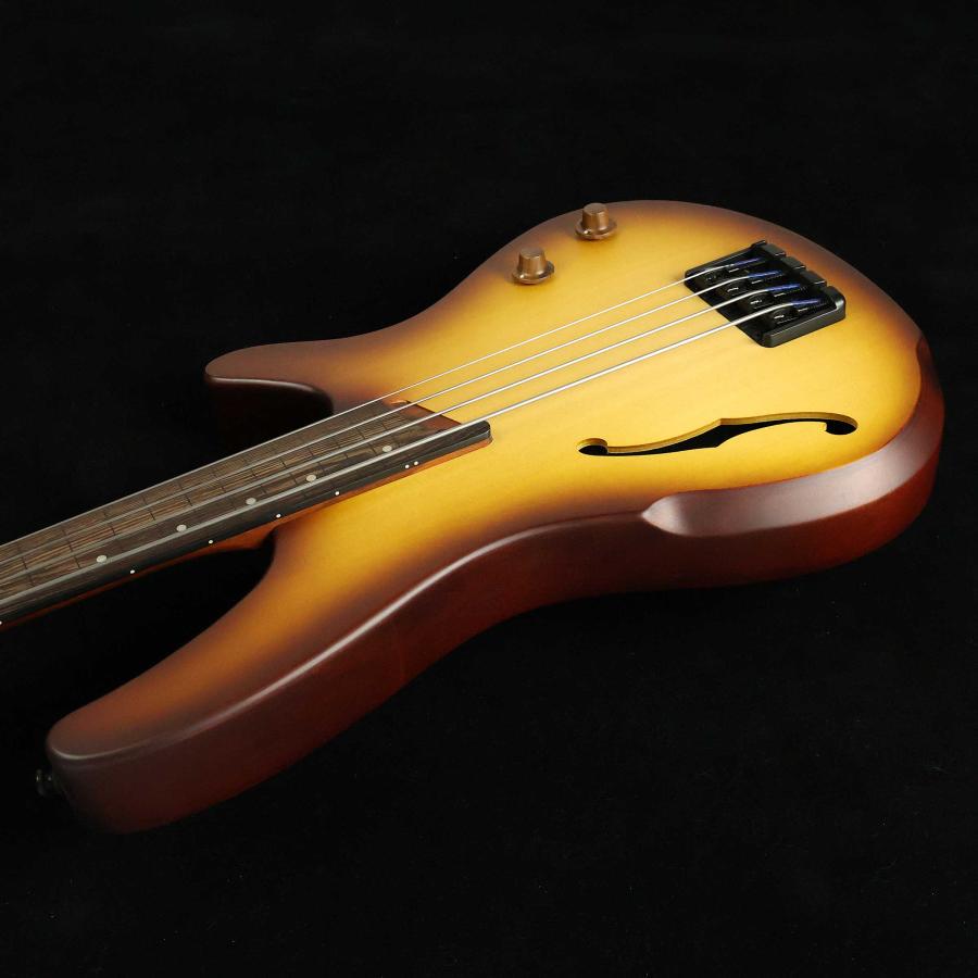 Ibanez（アイバニーズ） SRH500F S/N：I250100252 フレットレス 未展示