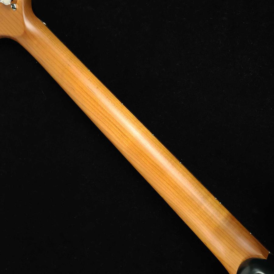 Ibanez アイバニーズ AZ2204N Ivy Green Metallic Flat S/N：F2504151 スポット生産モデル 未展示品の画像