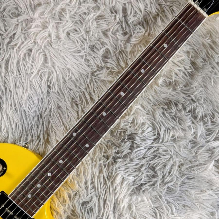 TOKAI SD-703 STBL トーカイギター TOKAI SD-703 STBL トーカイギター TOKAI SD-703 STBL トーカイ