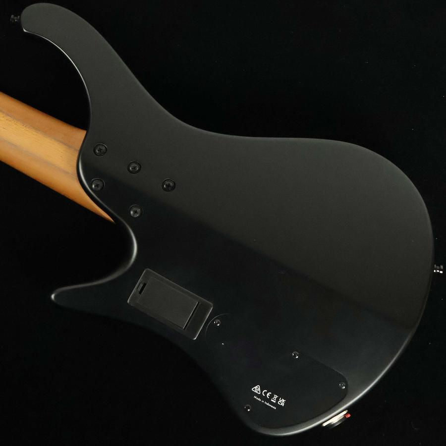 Ibanez（アイバニーズ） EHB1005MS Black Flat S/N：I241100309 5弦