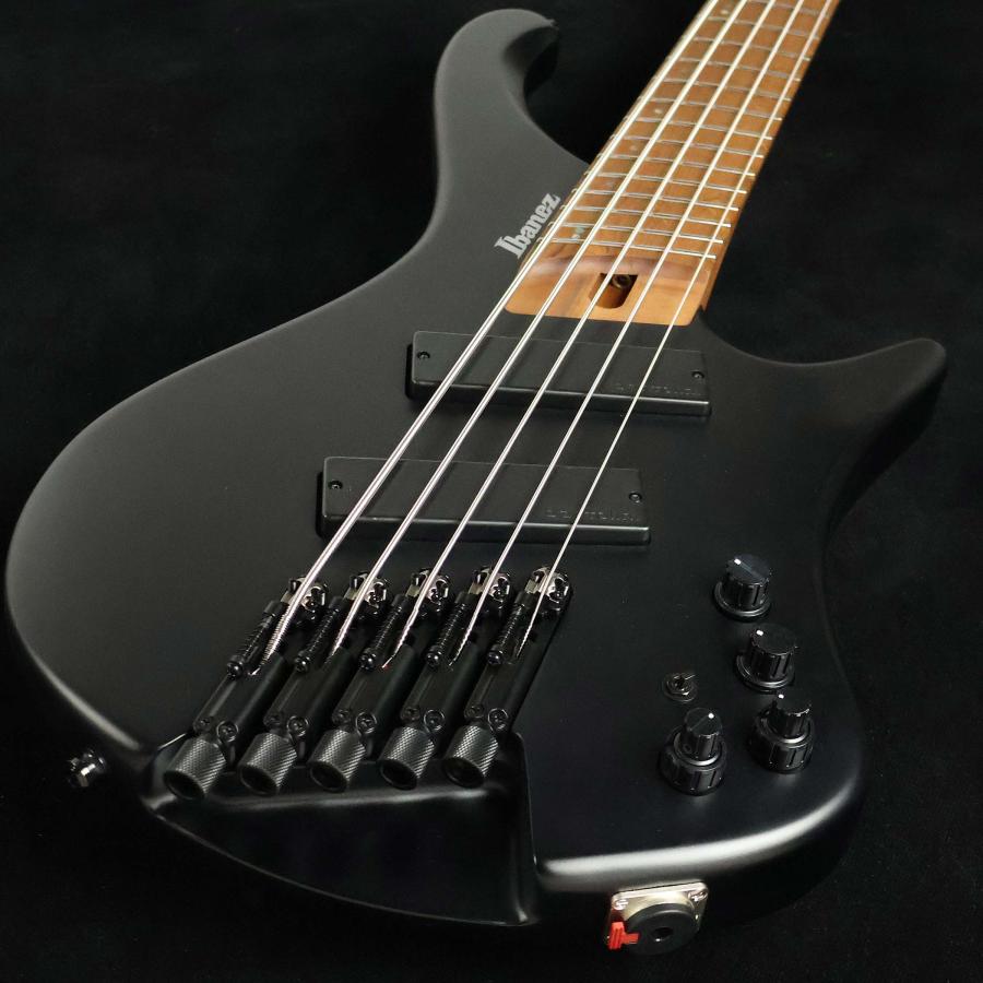 Ibanez アイバニーズ EHB1005MS Black Flat S/N：I241100309 5弦