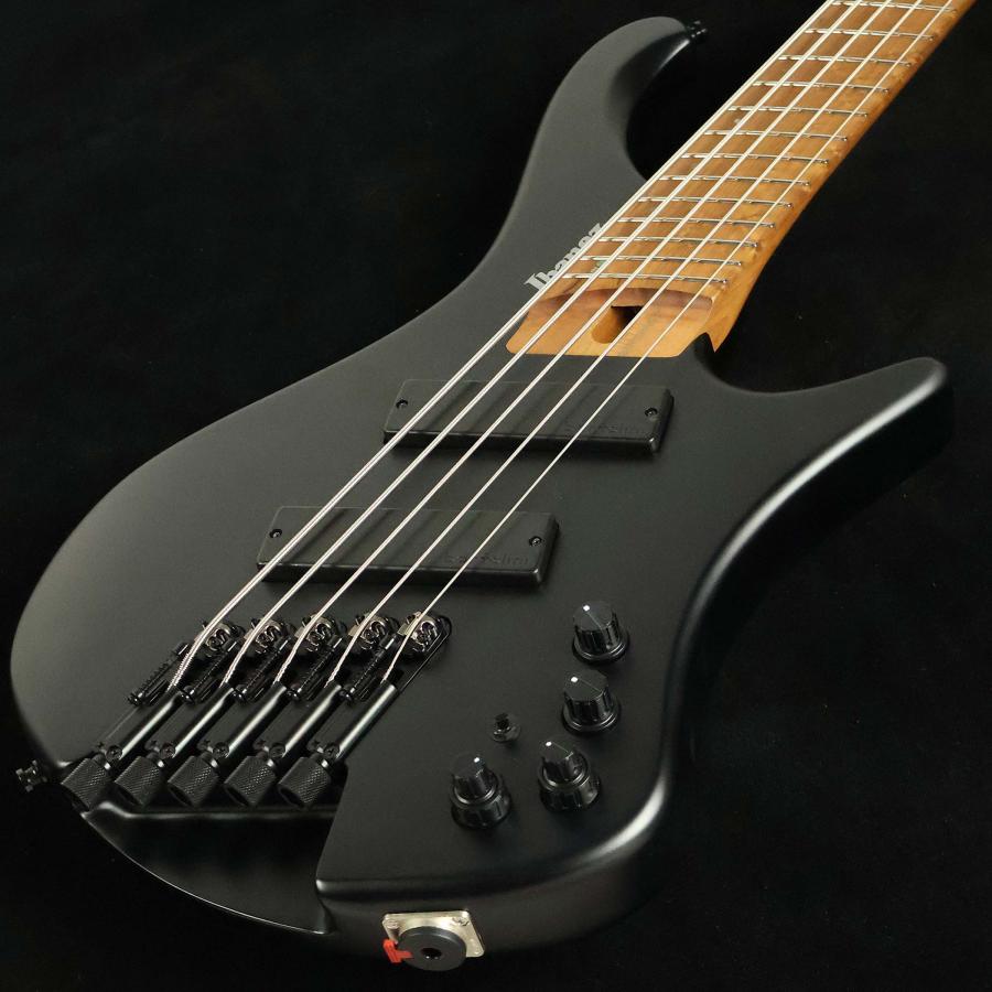 【ほぼ未使用品】Ibanez EHB1005MS 5弦ベース Buy Ibanez EHB1005MS Ergonomic Headless 5-String Multiscale Bass