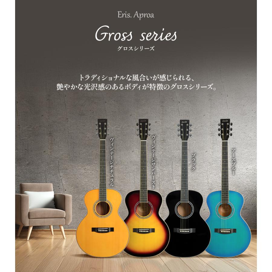 【美品】 Enya Epi S. Aproa/VSB アコースティックギター ギターを挫折したくないあなたへ Eris. エリス Aproa 超初心者セット