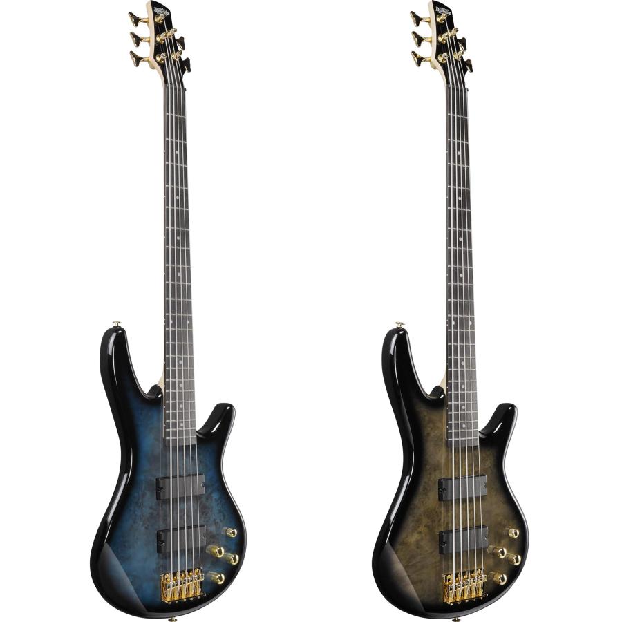 Ibanez（アイバニーズ） Gio Ibanez ジオ GSR205PC 5弦ベース初心者12