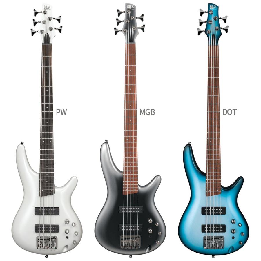 Ibanez（アイバニーズ） SR305E 5弦ベース初心者12点セット 充電式