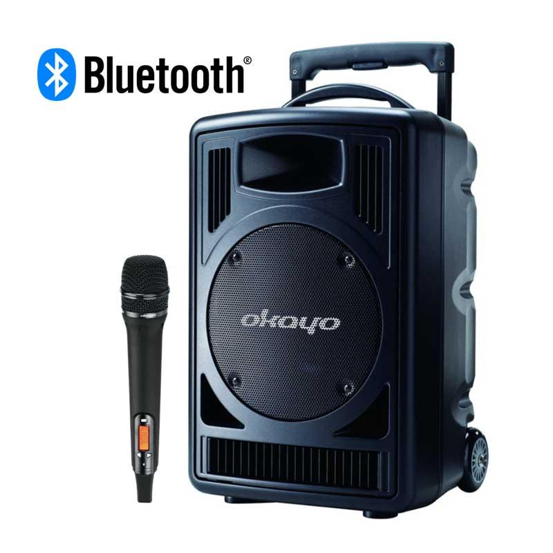 オジー様用スピーカー Okayo Japan オカヨジャパン JDL-710 ワイヤレスマイク1本付属セット