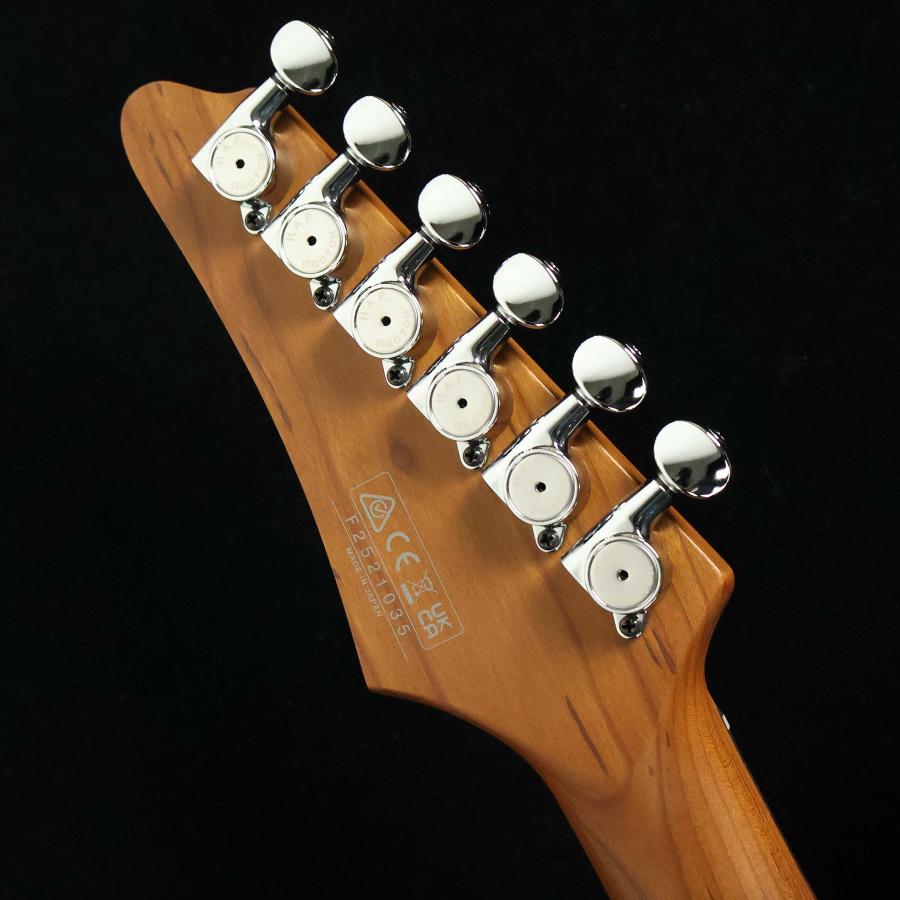 Ibanez（アイバニーズ） 【2026年2月価格改定】 ATZ300 Black S/N