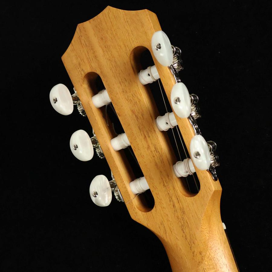 Taylor テイラー Academy 12-N ガットギター 未展示品 : 島村楽器Yahoo