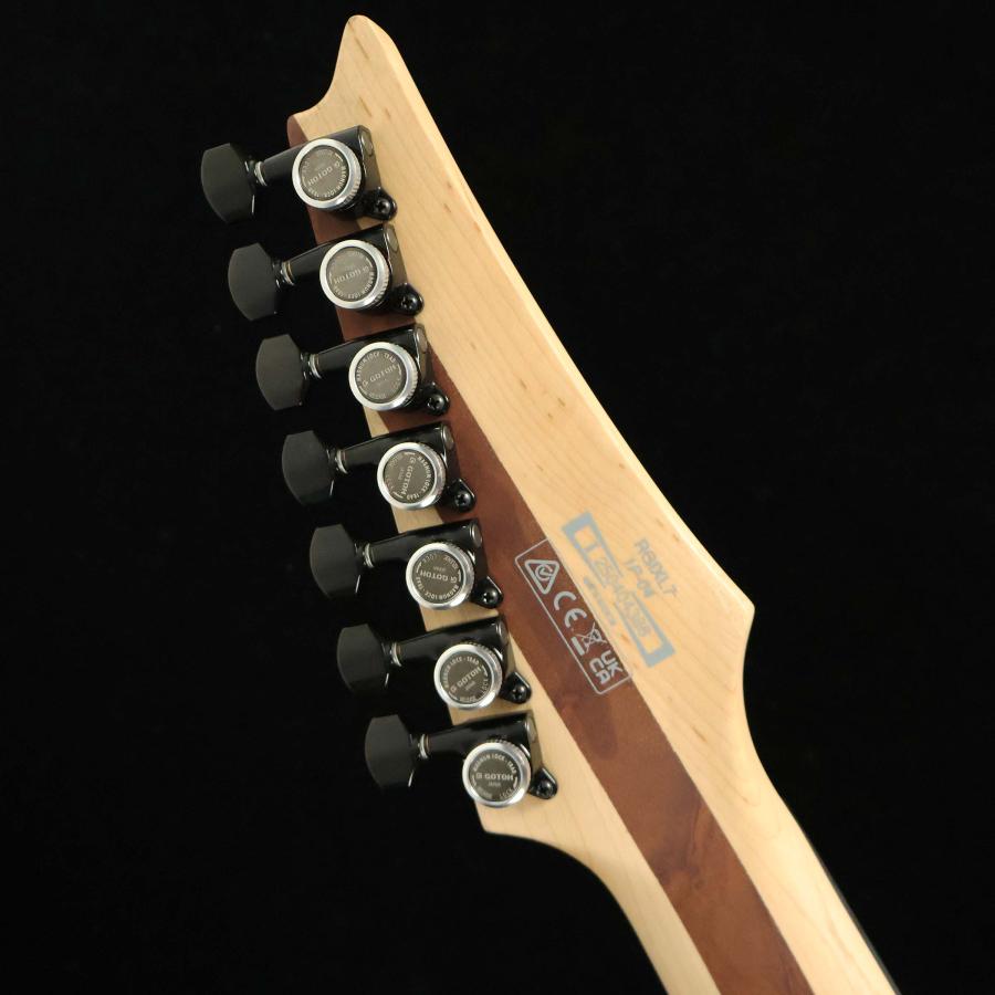 Ibanez アイバニーズ RGIXL7 Black Flat S/N：I250404388 7弦 未展示品の画像