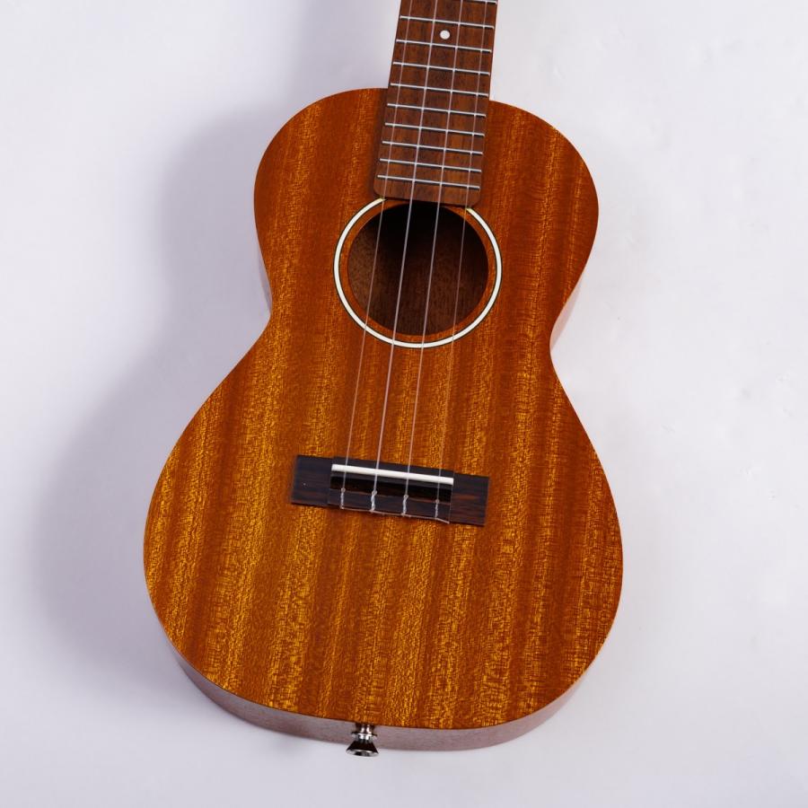 HANALEI（ハナレイ） HUK-100CII コンサートウクレレ マホガニートップ