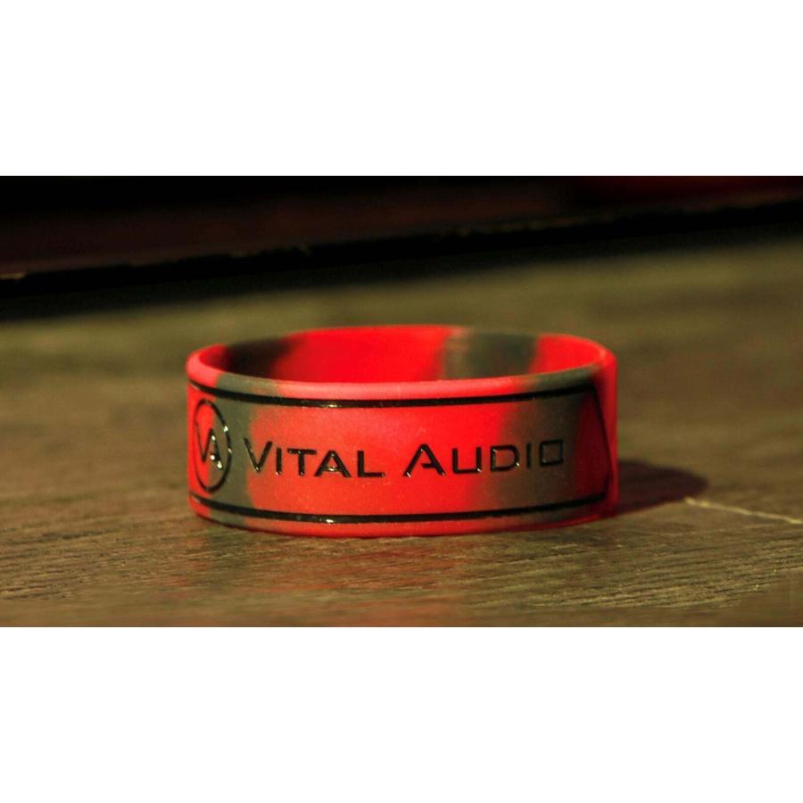 VITAL AUDIO バイタルオーディオ VAII-N 5m プラグ：L字-ストレート ギター ベース シールドケーブル V2N-5SL_2