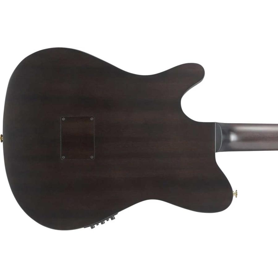 Ibanez（アイバニーズ） FRH20FMN CTL エレガットギター フレイム