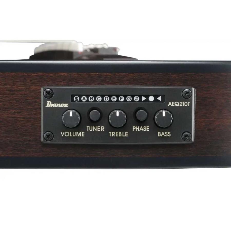 Ibanez（アイバニーズ） FRH20FMN CTL エレガットギター フレイム