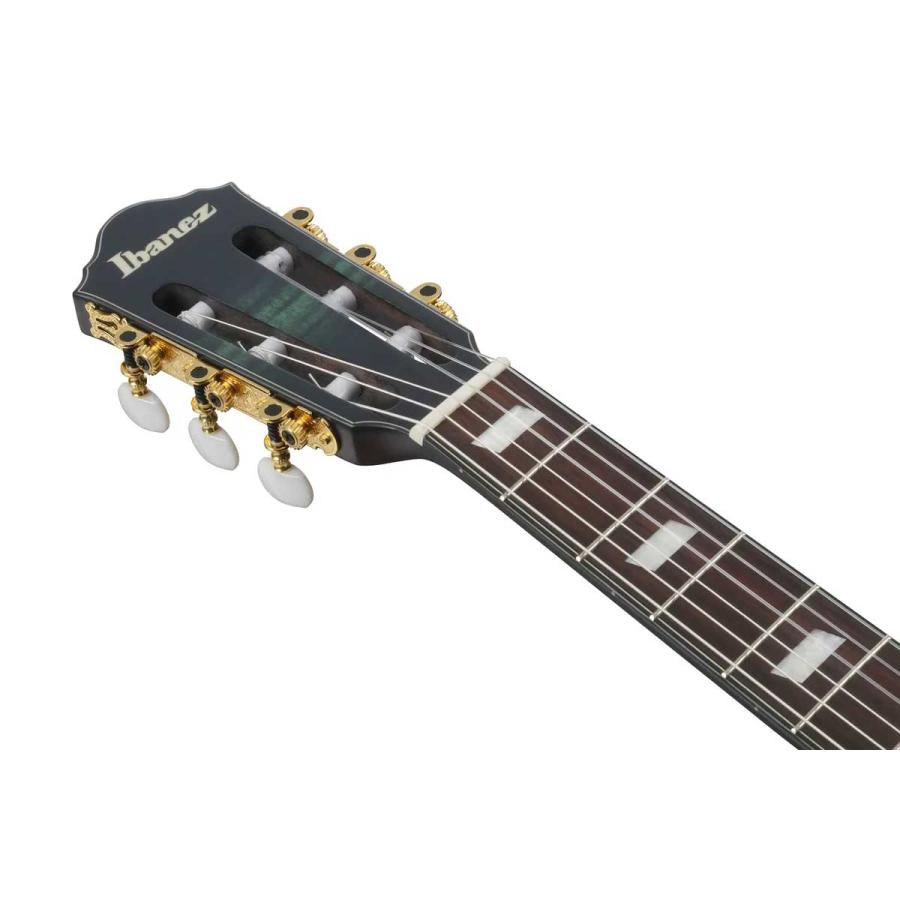 Ibanez（アイバニーズ） FRH20FMN DGL エレガットギター フレイム