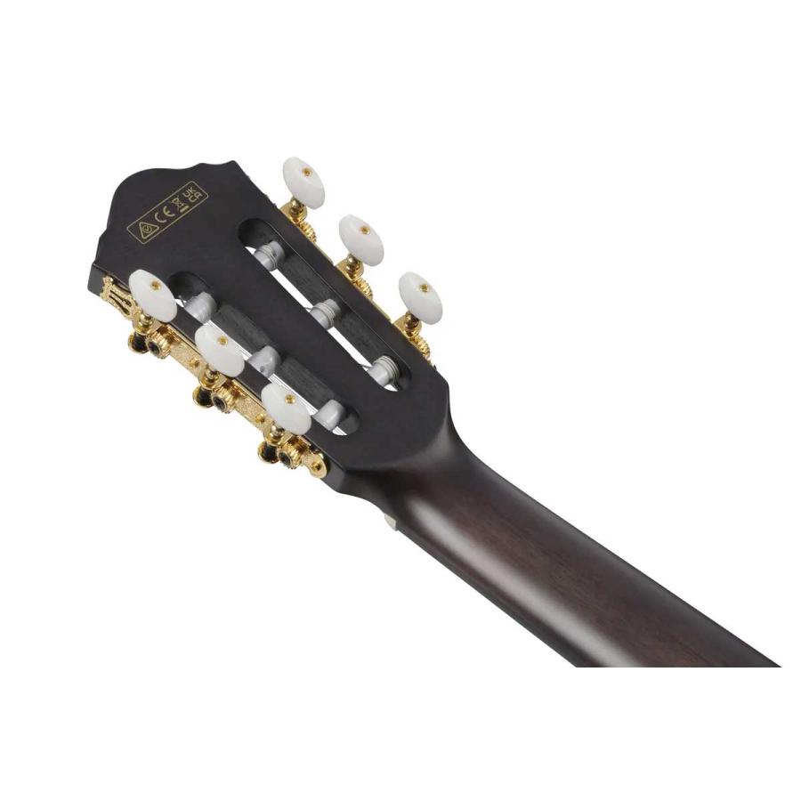 Ibanez（アイバニーズ） FRH20FMN DGL エレガットギター フレイム