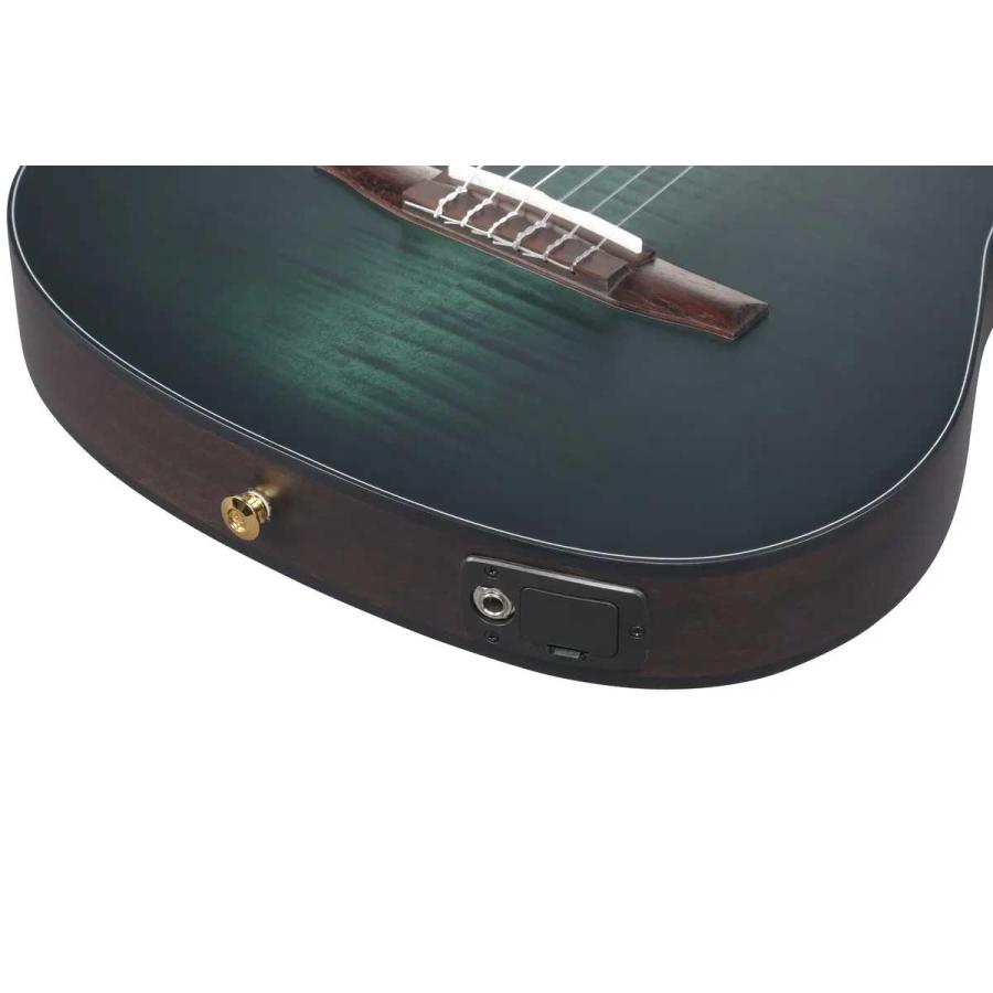 Ibanez（アイバニーズ） FRH20FMN DGL エレガットギター フレイム