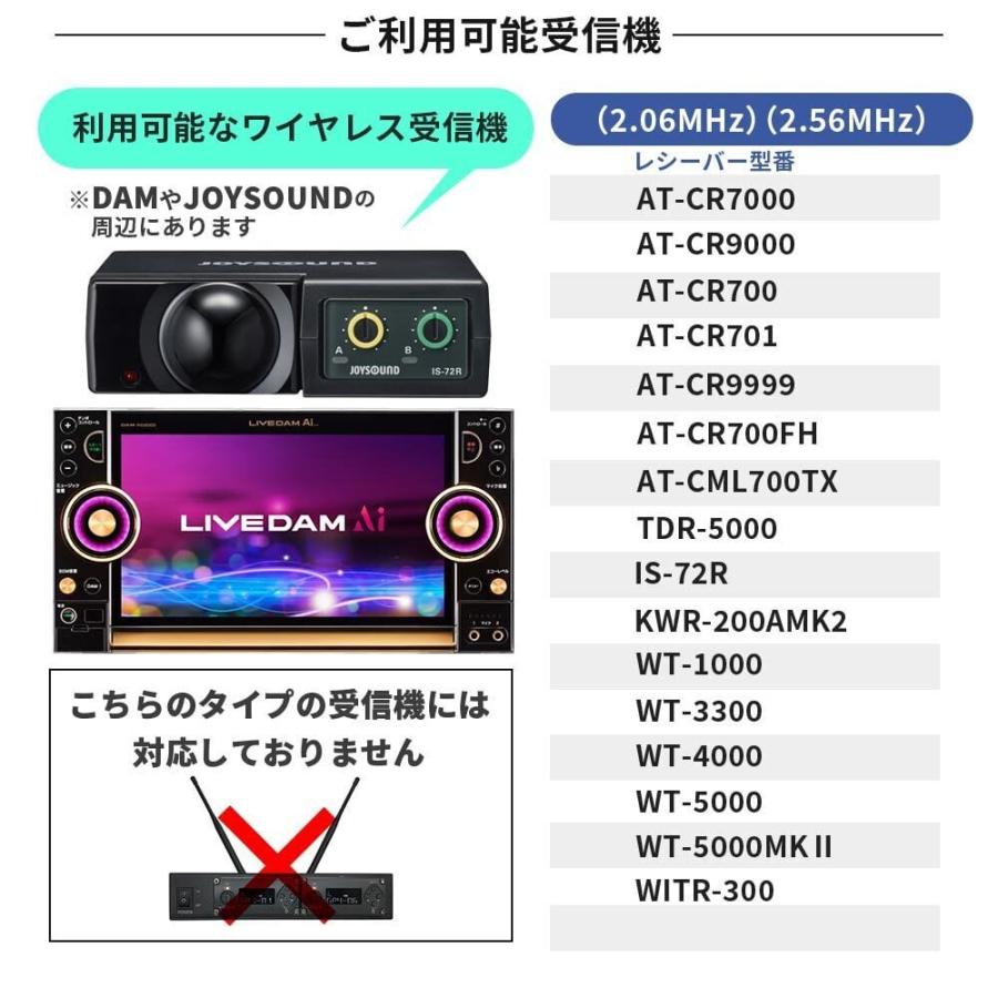 PENTATONIC ペンタトニック GTM-300 シャンパンロゼ カラオケ用マイク