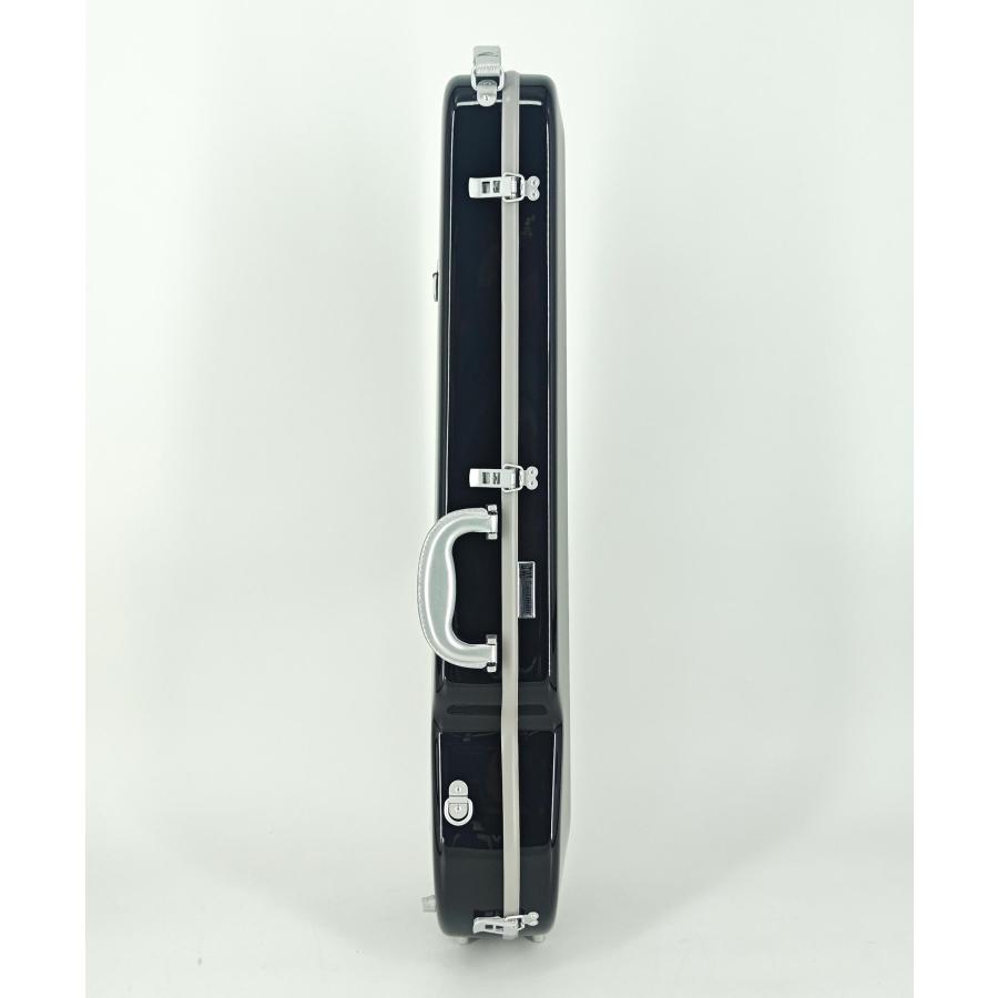 イーストマン 1/8 バイオリン 本体 ケース付き Amazon | 新色！Eastman イーストマン バイオリンハードケース