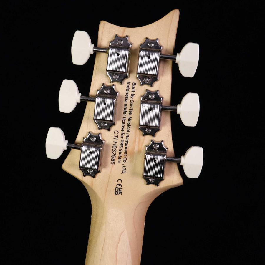 Paul Reed Smith（ポールリードスミス） PRS SE NF 53 Black Doghair
