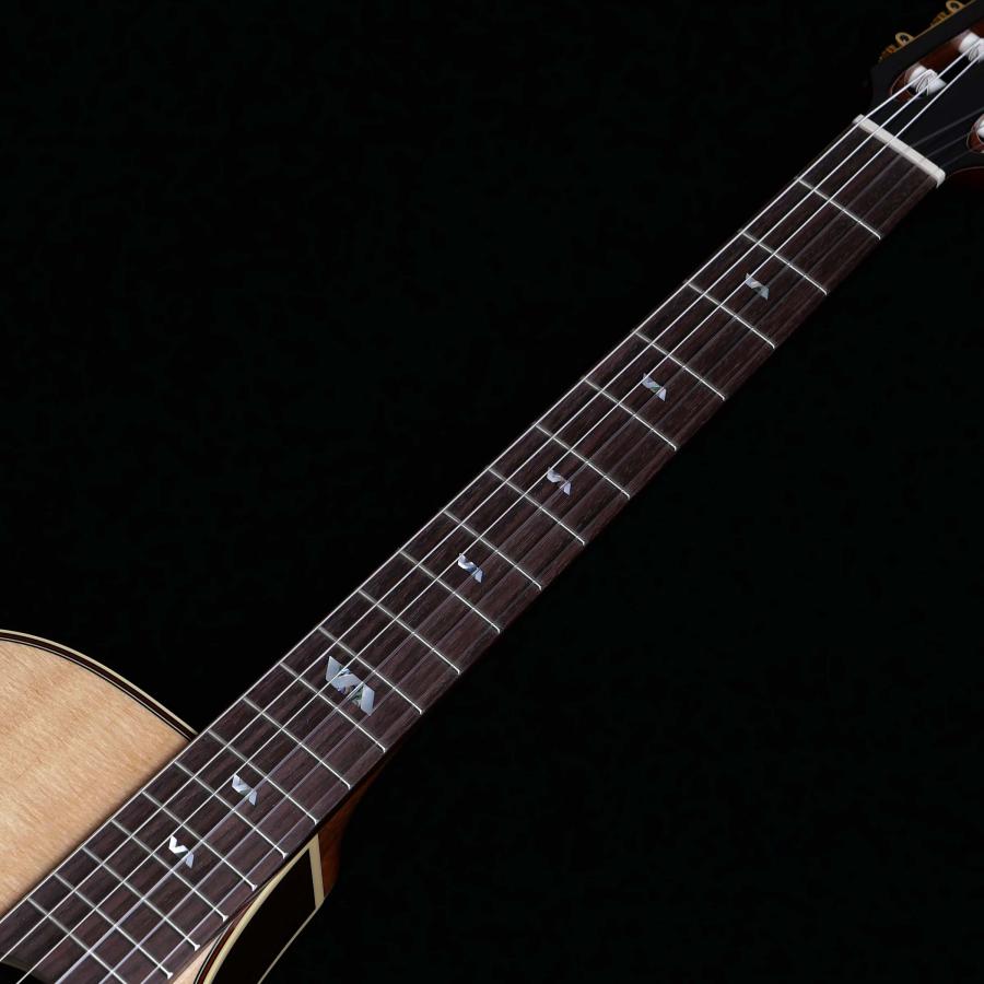 Takamine タカミネ TSP10NCS エレガットギター ナイロン弦