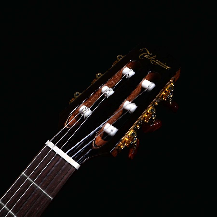 Takamine タカミネ TSP10NCS エレガットギター ナイロン弦