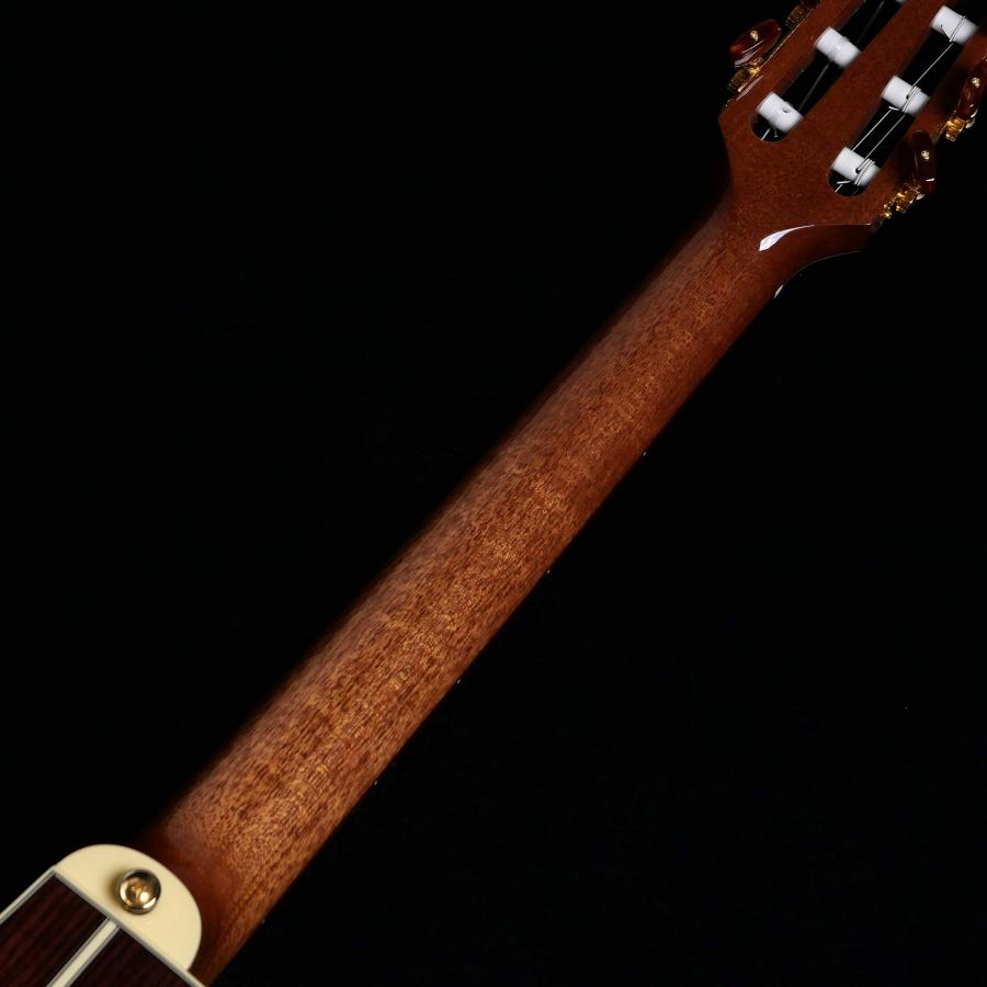 Takamine タカミネ TSP10NCS エレガットギター ナイロン弦