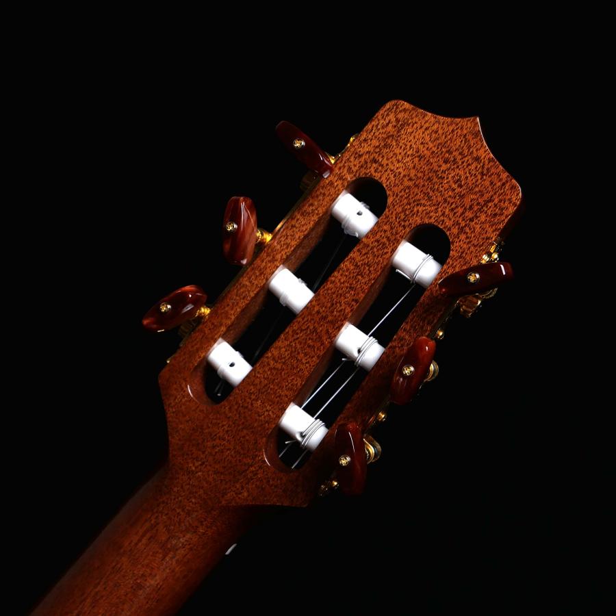 Takamine タカミネ TSP10NCS エレガットギター ナイロン弦